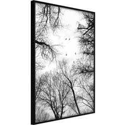 Artgeist med ramme Treetops Sort med passepartout 20x30 Billede