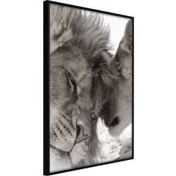 Artgeist med ramme Predatory Couple Guld 40x60 Plakat