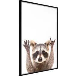 Artgeist med ramme Funny Racoon Sort 40x60 Plakat