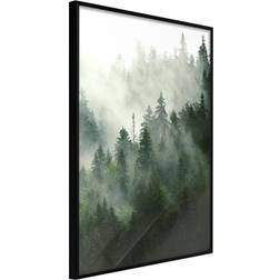 Artgeist med ramme Steaming Forest Sort med passepartout 40x60 Billede