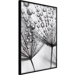 Artgeist med ramme Dew in the Macro Scale Sort 40x60 Plakat