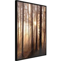 Artgeist med ramme Morning in the Forest Guld 20x30 Plakat