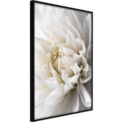 Artgeist med ramme Peace of Mind Sort 40x60 Plakat