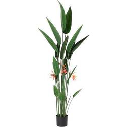 Dkd Home Decor ative Plant Polyester polypropylene Bird of Paradise (75 x 75 x 180 cm) Figurine