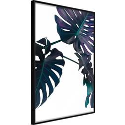 Artgeist med ramme Evergreen Monstera Sort med passepartout 40x60 Billede