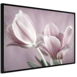 Artgeist med ramme Pastel Tulips I Sort med passepartout 60x40 Billede