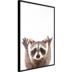 Artgeist med ramme Funny Racoon Sort med passepartout 30x45 Plakat