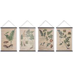 Dkd Home Decor Lærred Botaniske planter (4 pcs) (60 x 2 x 90 cm) Vægdekorationer