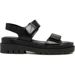 Pavement Olive - Black