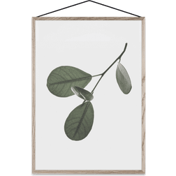 Moebe Floating leaves nr. 5, a3 Plakat