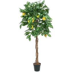 Europalms Lemon Tree Julepynt 150cm