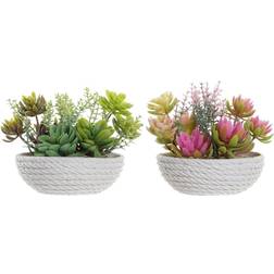 Dkd Home Decor Dekorativ växt Rosa Vit Grön EVA PE (12,5 x 12,5 x 12 cm) (2 antal) Tavla