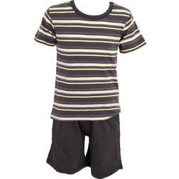 Tom Franks Tom Franks Mens Striped Flannel Pyjama Set (Blue)
