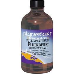 Planetary Herbals Elderberry Fluid Extract Liquid 4 fl oz