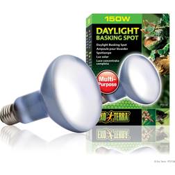 Exo Terra Terra Day Glo Spot 50