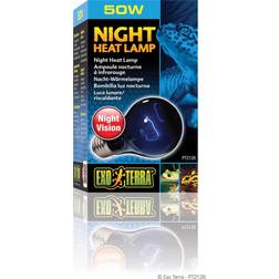 Exo Terra Night Heat
