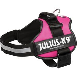 Trixie Pett LXL 7196 Fucsia