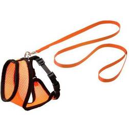 Sovtex Kattsele med koppel orange/svart Medium