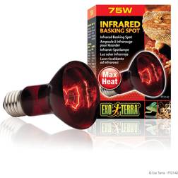 Exo Terra Infrared Basking Spot 50w