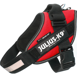 Julius-K9 IDC-Powerharness Tg. 3 2XL Circonferenza 82-115 cm Peso 40-70 Kg Rosso