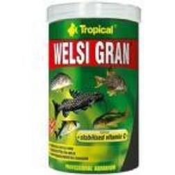 Tropical Welsi Gran foder akvariefisk ml/65