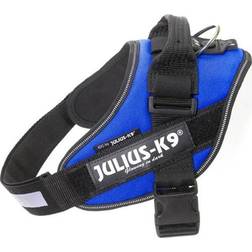 Julius-K9 Blue Dog Harness, Medium