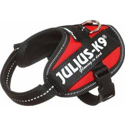 Julius-K9 Harnais IDC Power Rouge 2 x 33-45 cm x 18 mm