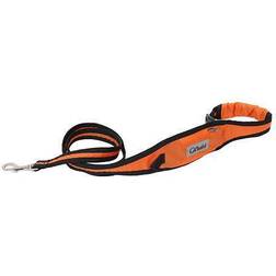 Life LS12OR 2 in1 Training Dog Leash & Pet Belt with