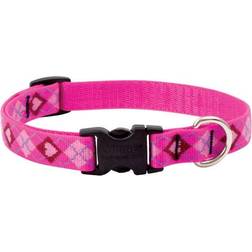 LupinePet Pet Original Multicolor Puppy Love Nylon Adjustable Collar