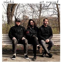 Sebadoh Act Surprised (Vinyl)