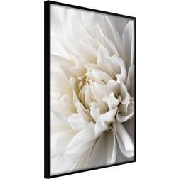 Artgeist med ramme Peace of Mind Sort 20x30 Plakat