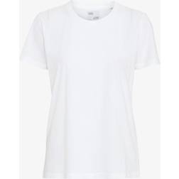 Colorful Standard Light Organic Tee Optical