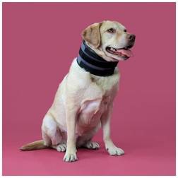 KVP Cervical Collar for Dogs KVP