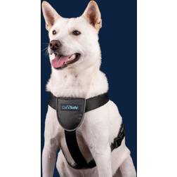 Company of Animals CarSafe Autotuig Zwart M 62-74 cm Hond