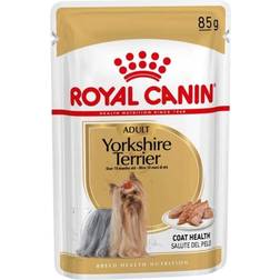 Royal Canin Yorkshire Terrier Adult Wet Dog Food in Loaf