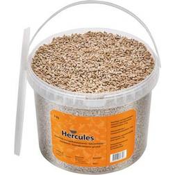 Hercules Solsikkekerner 3kg