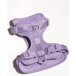 One Lilac Dog Harness, X-Small, Purple