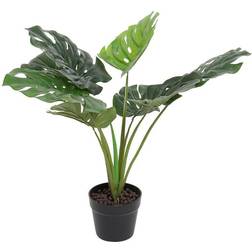 Dkd Home Decor "Dekorativ växt Monstera Monstera Grön PVC (65 x 65 x 60 cm) Konstgjord växt