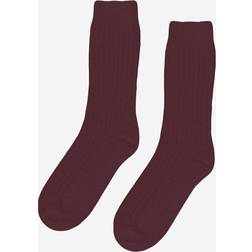 Colorful Standard Merino Wool Blend Sock - Deep Black