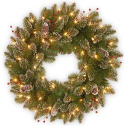 National Tree Company 24 in. Glittery Mountain Spruce Artificial Wreath Decorative Item