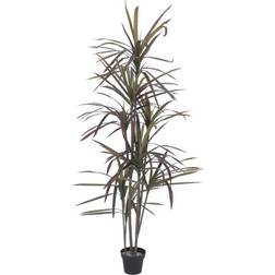 Europalms Dracaena, green-red, artificial, 180cm Künstliche Pflanzen