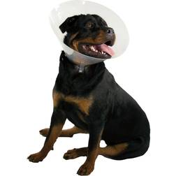 Kong Elizabethan Dog Collar KVP Quick Fit