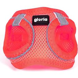 Gloria Harness Air Mesh Trek Star Adjustable