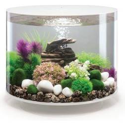 Biorb Tube 35 Aquarium MCR