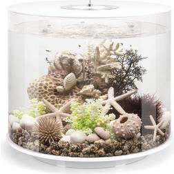 Biorb TUBE 35
