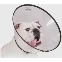 KVP Elizabethan Dog Collar KVP Saf-T-Clear