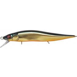 megabass Vision Oneten Jr. Gold Kinkuro