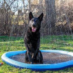 OZami Fontän Dog Splash Pool