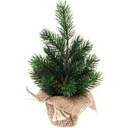 Winteria Mini Green Julgran 22cm