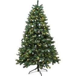 Nordic Winter Aske Julgran 100cm